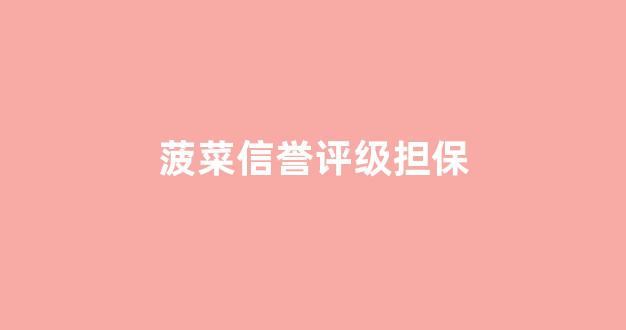 白菜公司网站
